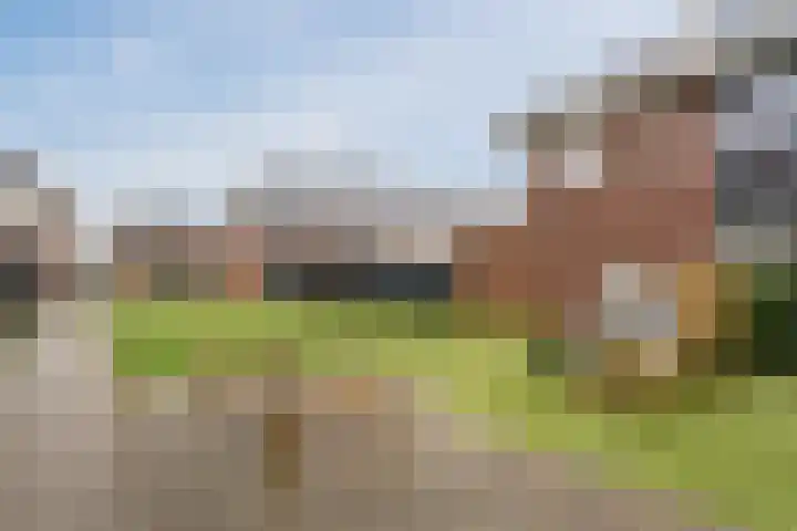 Slechtvalk 6 Valkenburg thumbnail 50