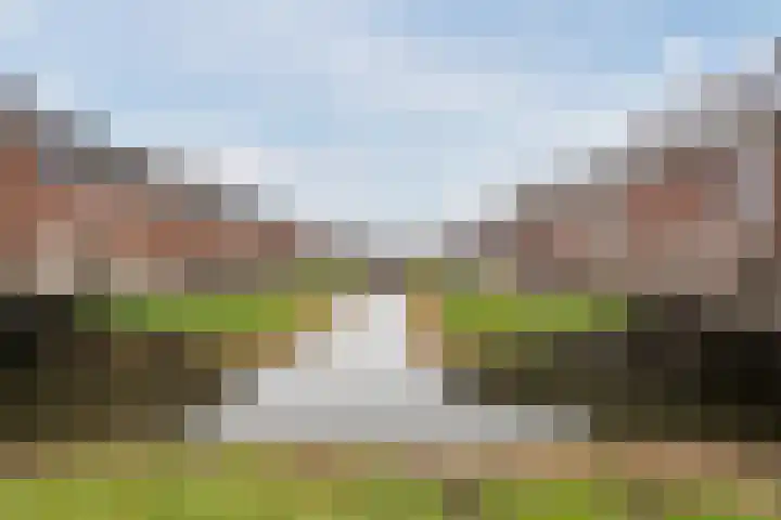 Slechtvalk 6 Valkenburg thumbnail 6