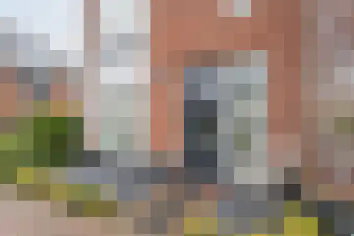 Slechtvalk 6 Valkenburg thumbnail 7