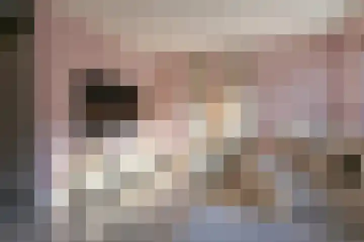 Slechtvalk 64 Emmen thumbnail 12