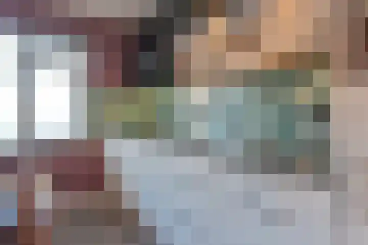 Slechtvalk 64 Emmen thumbnail 25