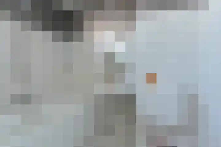 Slechtvalk 64 Emmen thumbnail 32