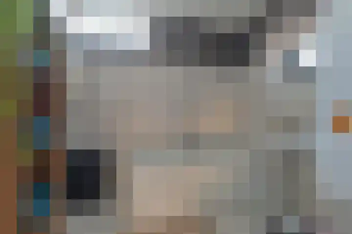 Slechtvalk 64 Emmen thumbnail 33