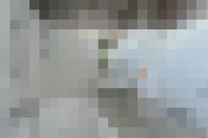 Slechtvalk 64 Emmen thumbnail 34