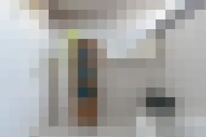 Slechtvalk 64 Emmen thumbnail 35
