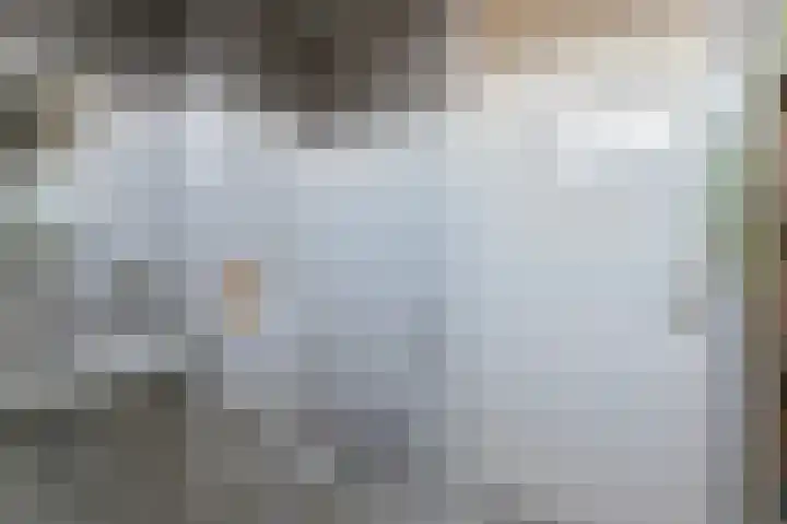 Slechtvalk 64 Emmen thumbnail 36