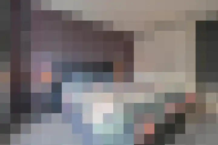 Slechtvalk 64 Emmen thumbnail 39