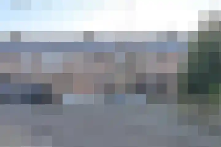 Slechtvalk 64 Emmen thumbnail 4