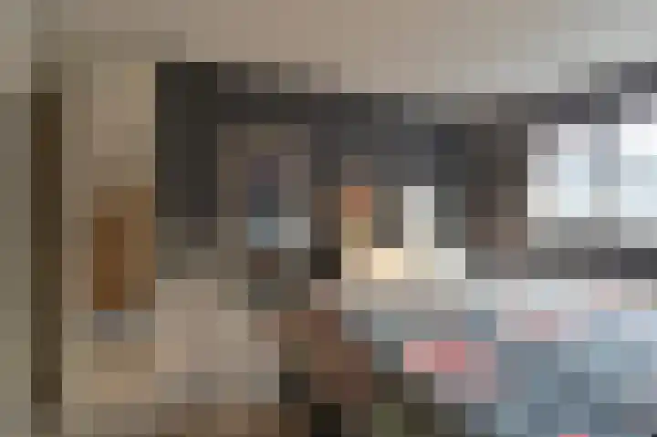 Slechtvalk 64 Emmen thumbnail 41