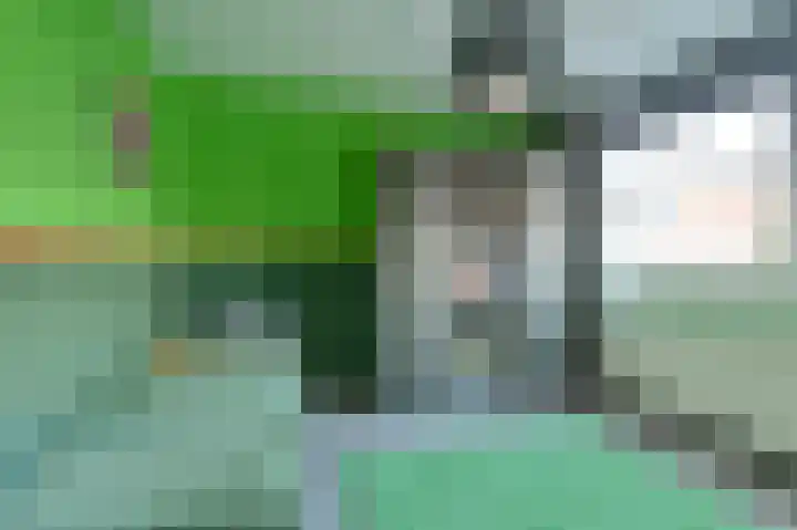 Slechtvalk 64 Emmen thumbnail 42
