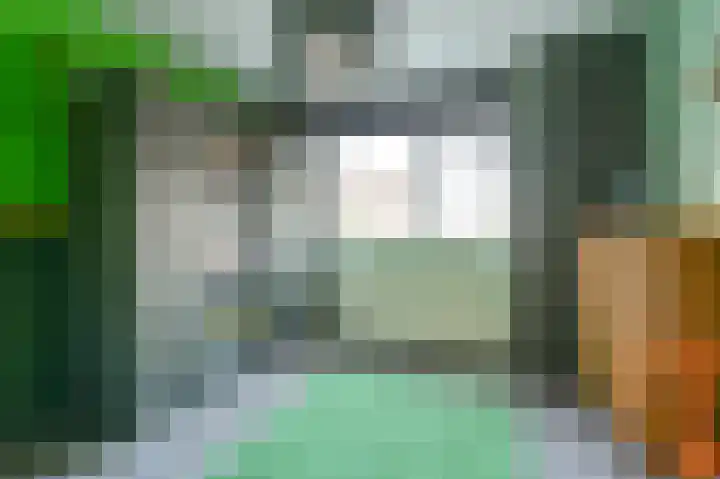 Slechtvalk 64 Emmen thumbnail 43