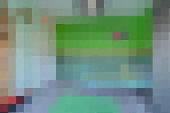 Slechtvalk 64 Emmen thumbnail 44