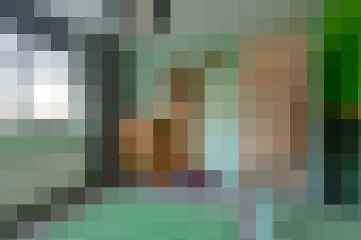 Slechtvalk 64 Emmen thumbnail 45