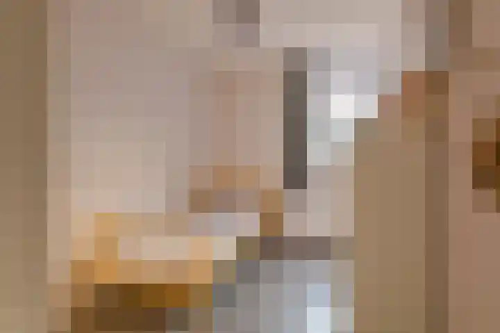 Slechtvalk 64 Emmen thumbnail 47