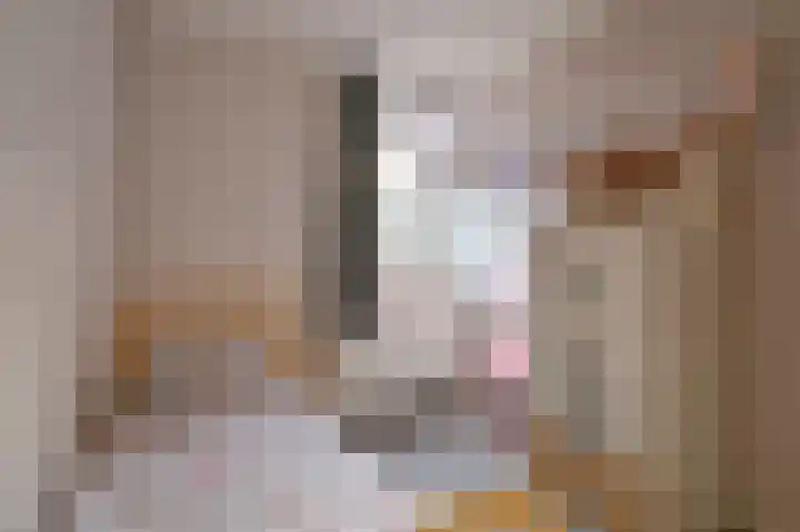Slechtvalk 64 Emmen thumbnail 48