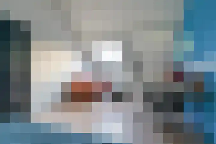 Slechtvalk 64 Emmen thumbnail 55