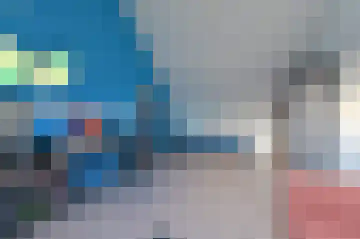 Slechtvalk 64 Emmen thumbnail 56