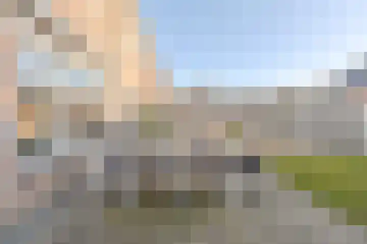 Slechtvalk 64 Emmen thumbnail 59