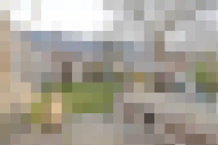 Slechtvalk 64 Emmen thumbnail 60