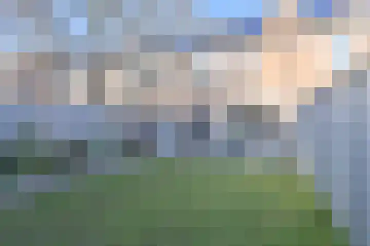 Slechtvalk 64 Emmen thumbnail 62