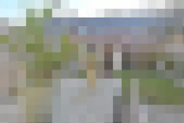 Slechtvalk 64 Emmen thumbnail 63