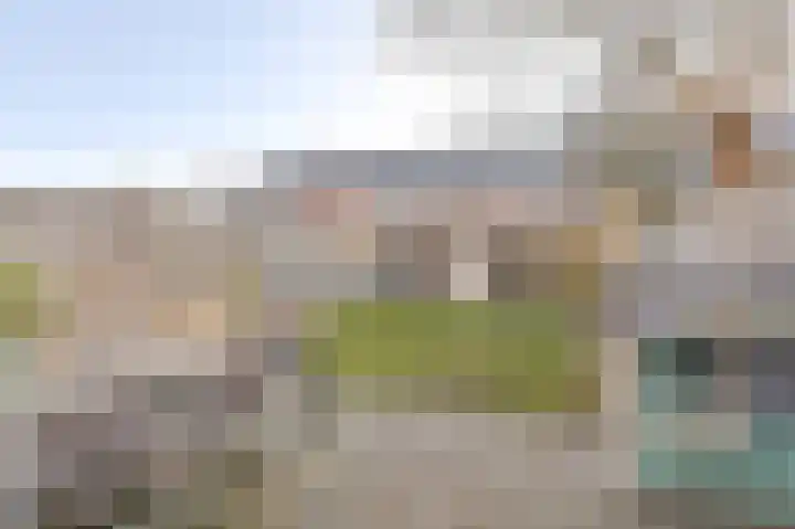 Slechtvalk 64 Emmen thumbnail 64