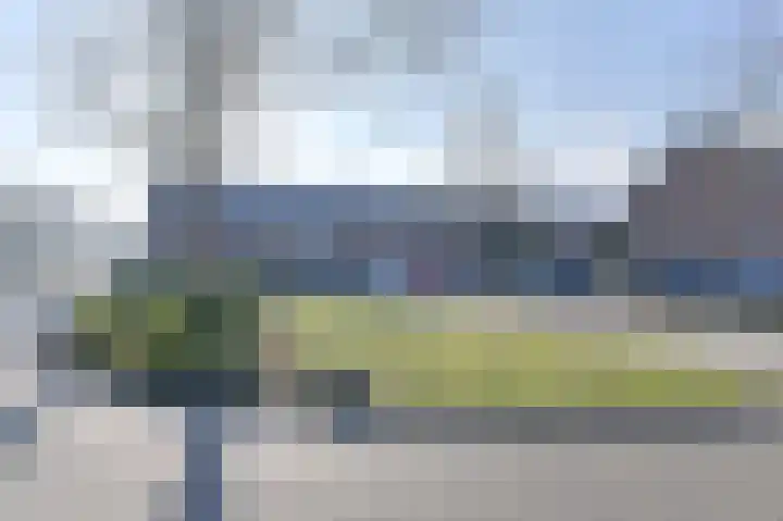 Slechtvalk 64 Emmen thumbnail 66