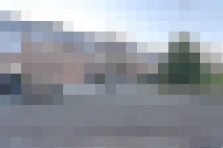 Slechtvalk 64 Emmen thumbnail 68