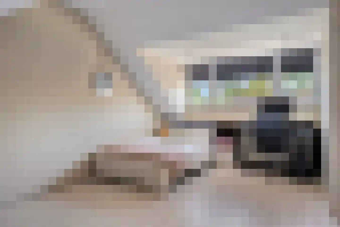 Slechtvalk 71 Emmen thumbnail 17