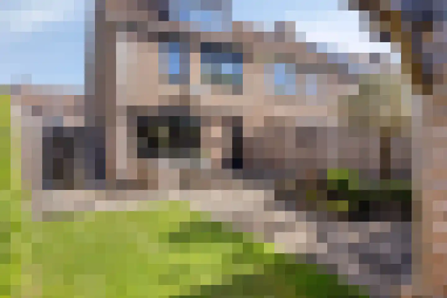 Slechtvalk 71 Emmen thumbnail 18