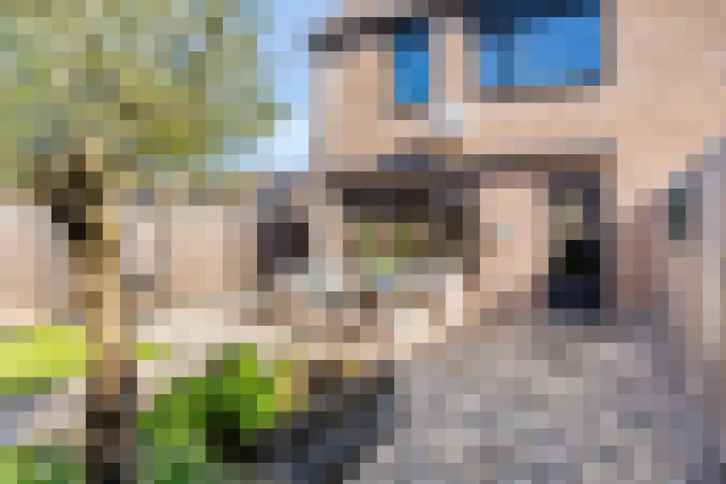 Slechtvalk 71 Emmen thumbnail 19
