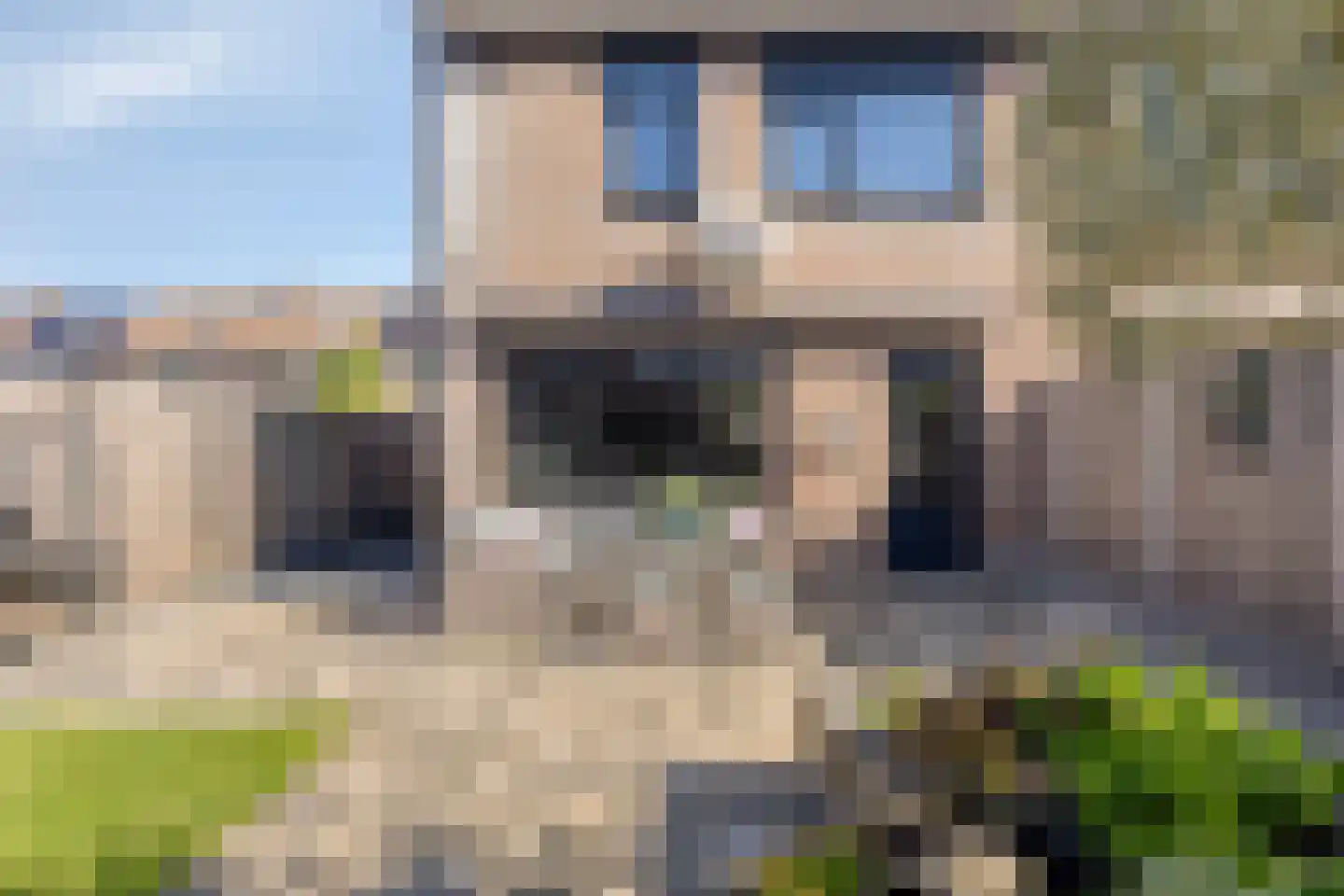 Slechtvalk 71 Emmen thumbnail 20