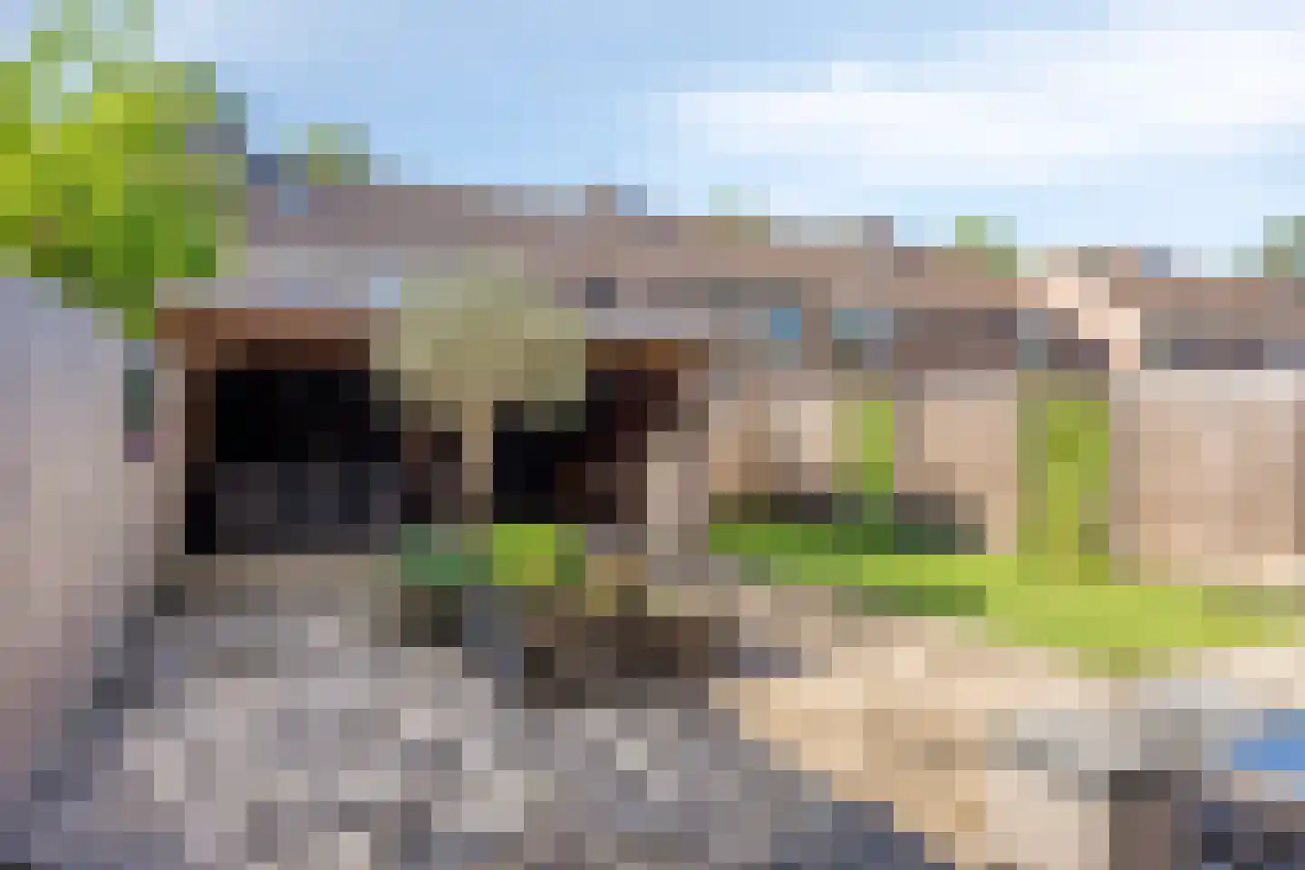 Slechtvalk 71 Emmen thumbnail 21