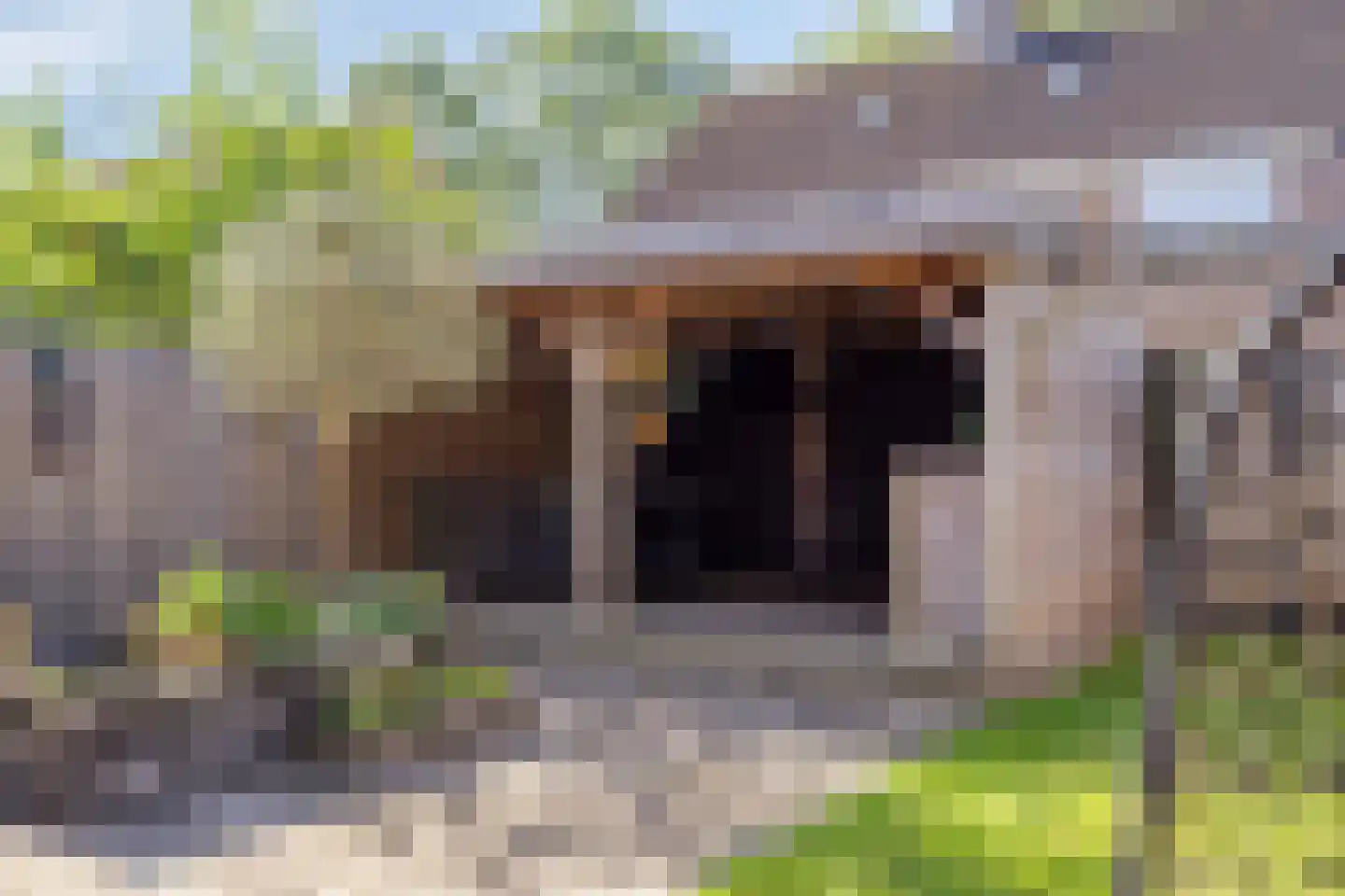 Slechtvalk 71 Emmen thumbnail 22