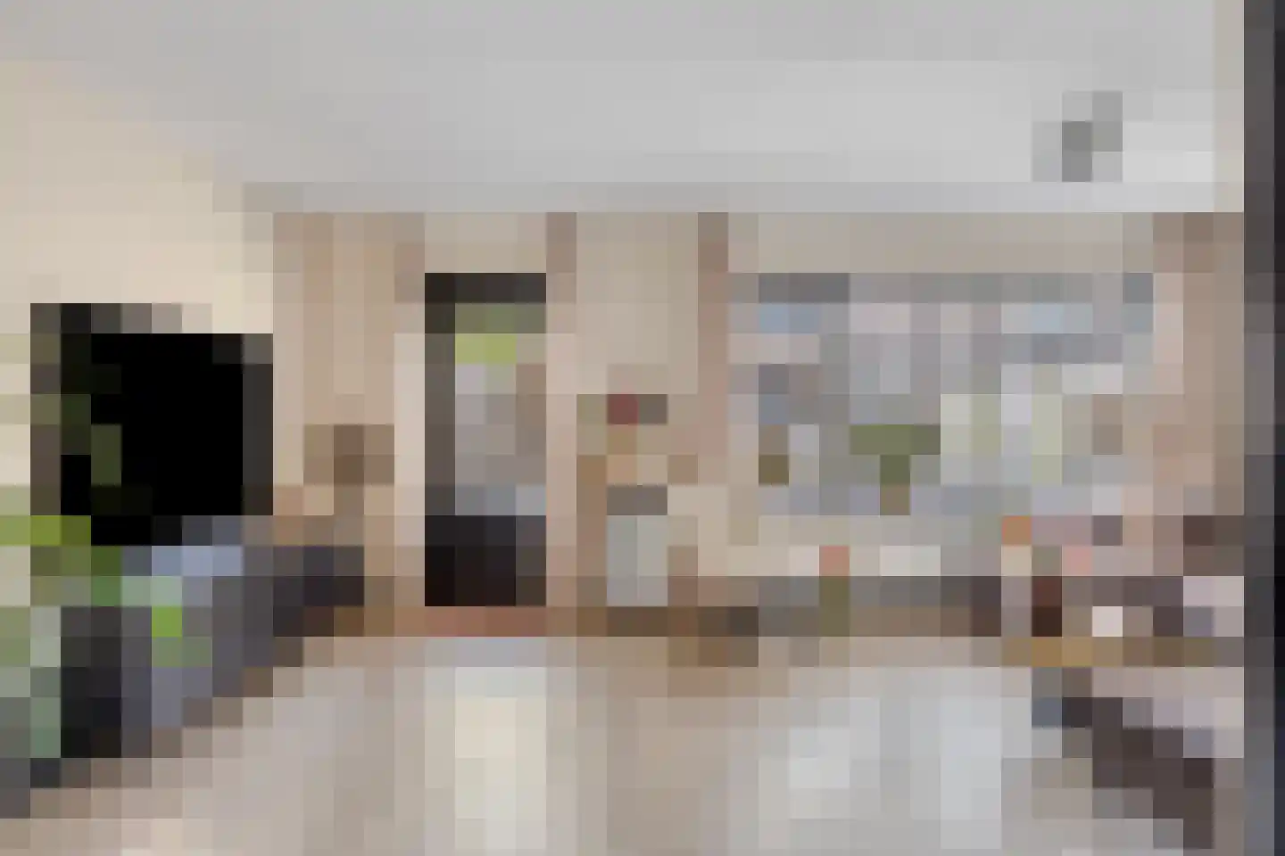 Slechtvalk 71 Emmen thumbnail 4