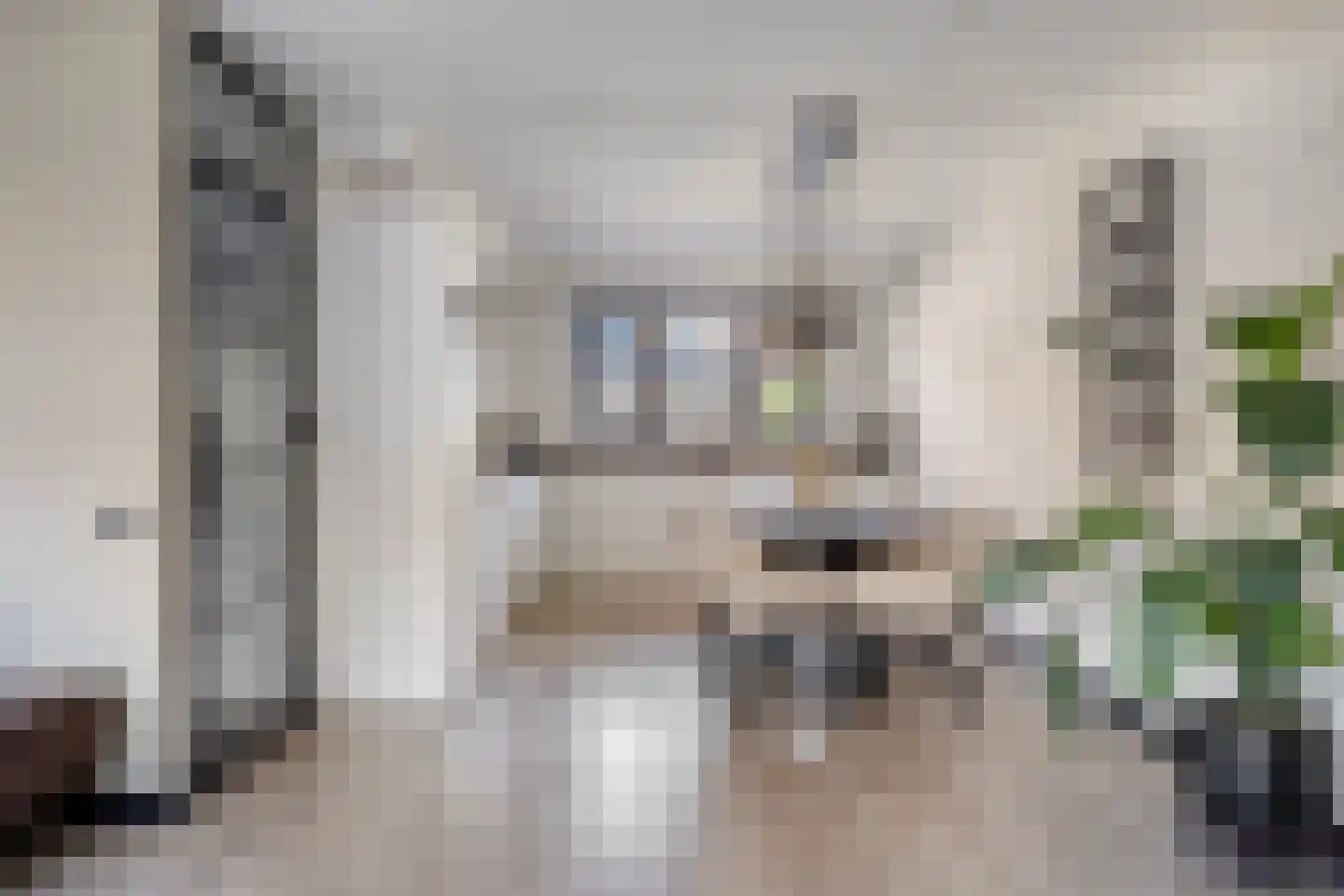 Slechtvalk 71 Emmen thumbnail 6