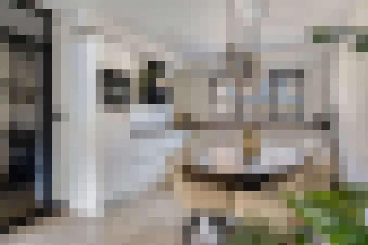 Slechtvalk 71 Emmen thumbnail 8