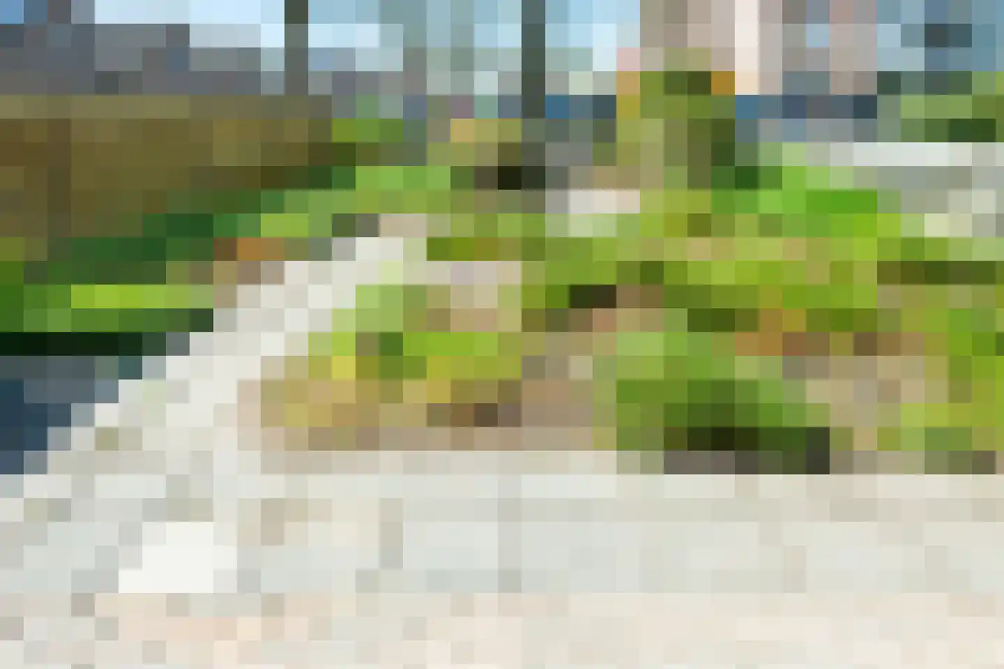 Slechtvalk 73 Emmen thumbnail 24
