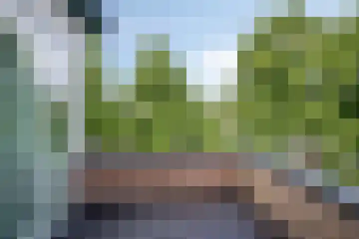 Sledemennerstraat 43 Groningen thumbnail 13