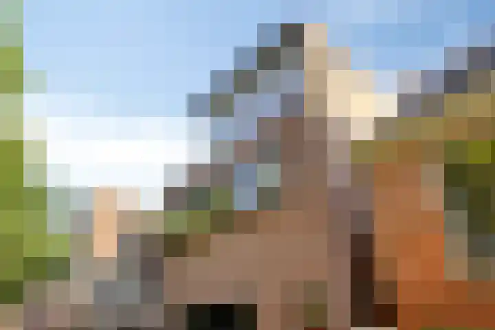 Sledemennerstraat 43 Groningen thumbnail 34