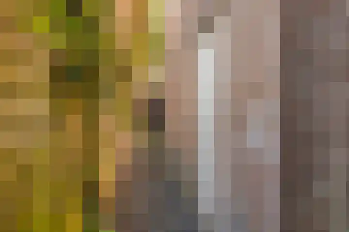 Sledemennerstraat 43 Groningen thumbnail 37