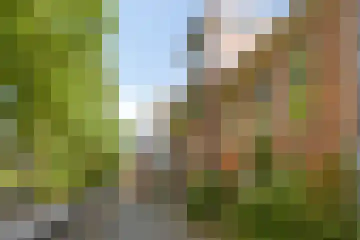 Sledemennerstraat 43 Groningen thumbnail 38