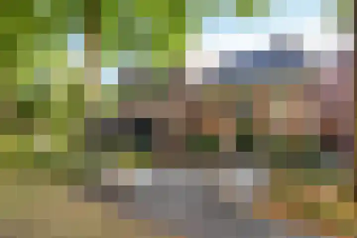 Sledemennerstraat 43 Groningen thumbnail 39