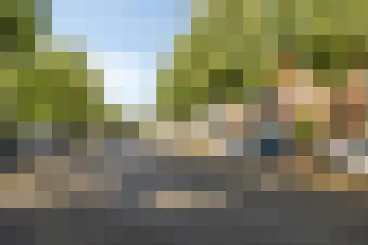 Sledemennerstraat 43 Groningen thumbnail 40