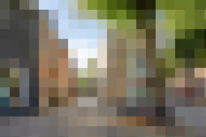 Sledemennerstraat 43 Groningen thumbnail 41