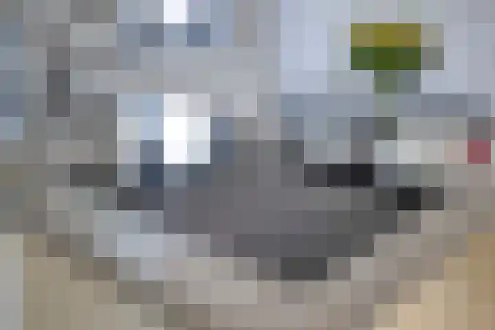 Sledemennerstraat 43 Groningen thumbnail 9