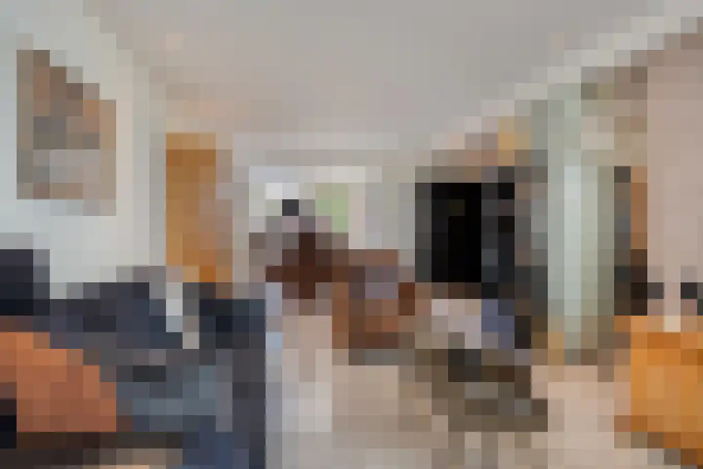 Sledsenpad 2 Veldhoven thumbnail 17