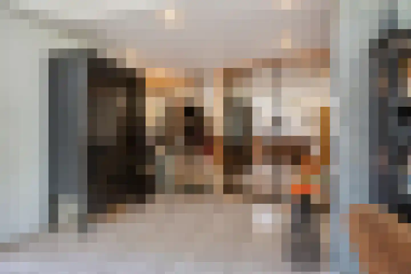 Sledsenpad 2 Veldhoven thumbnail 18