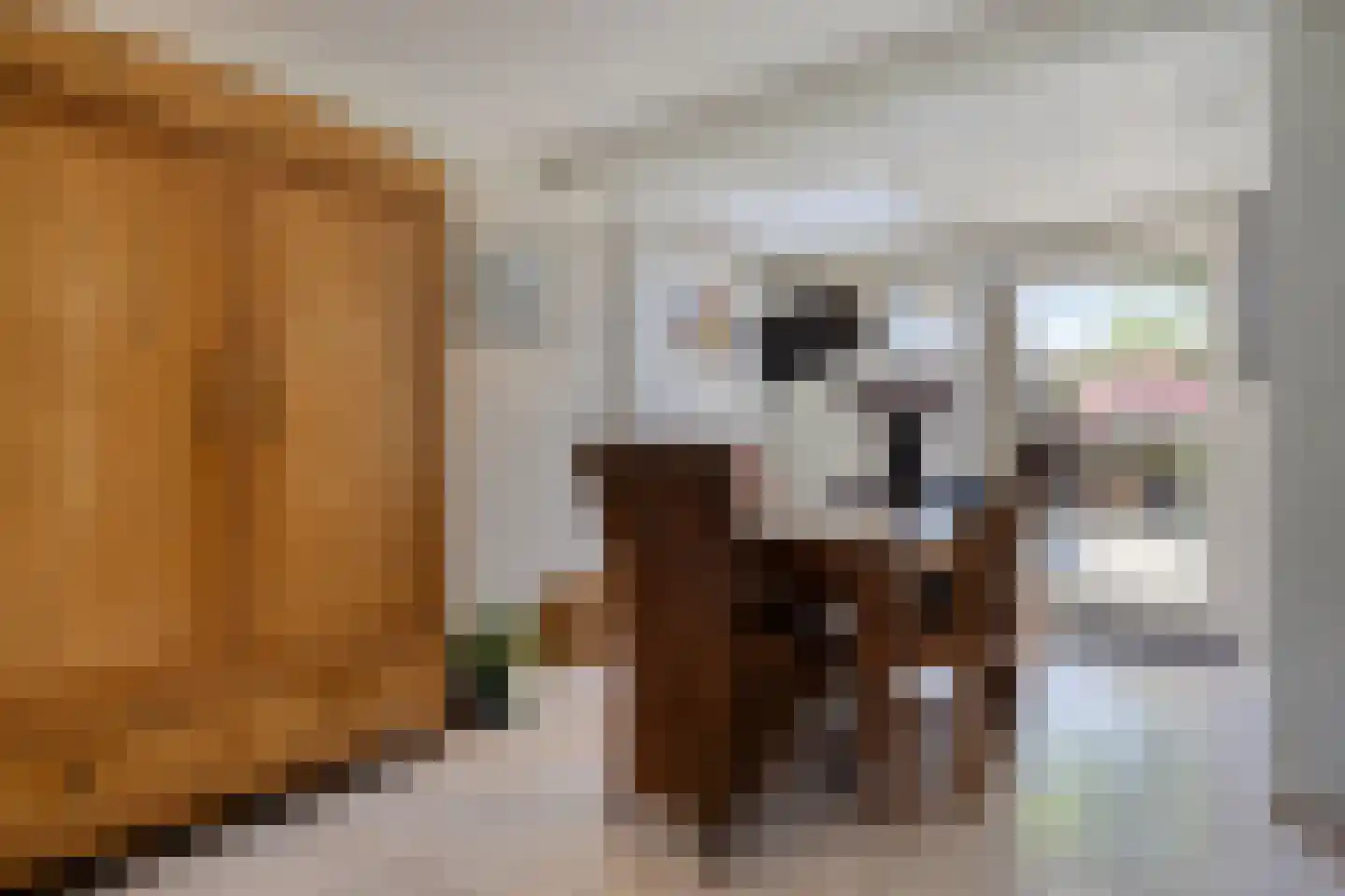 Sledsenpad 2 Veldhoven thumbnail 20