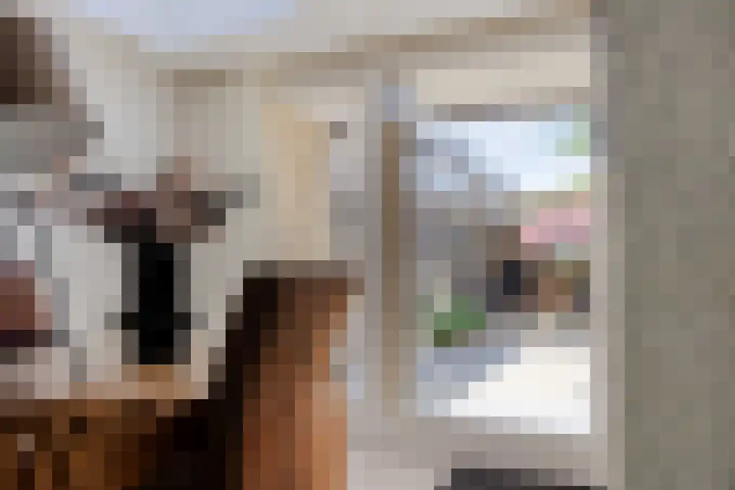Sledsenpad 2 Veldhoven thumbnail 22